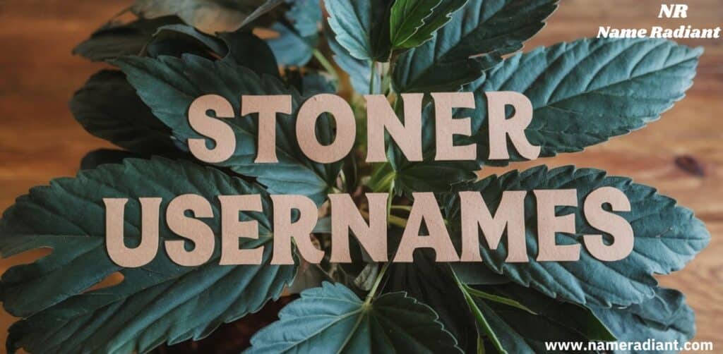 Best Stoner Usernames [Funny And Cool Ideas]