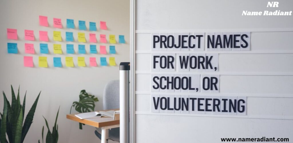 Project Names For Work, School, Or Volunteering