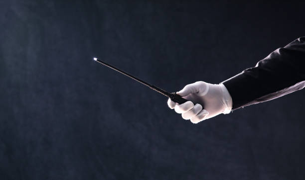 Harry Potter's Magic Wand